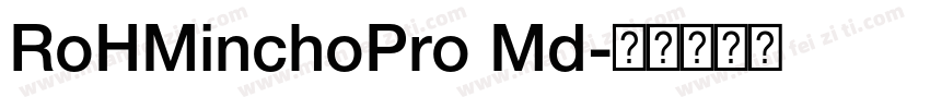 RoHMinchoPro Md字体转换